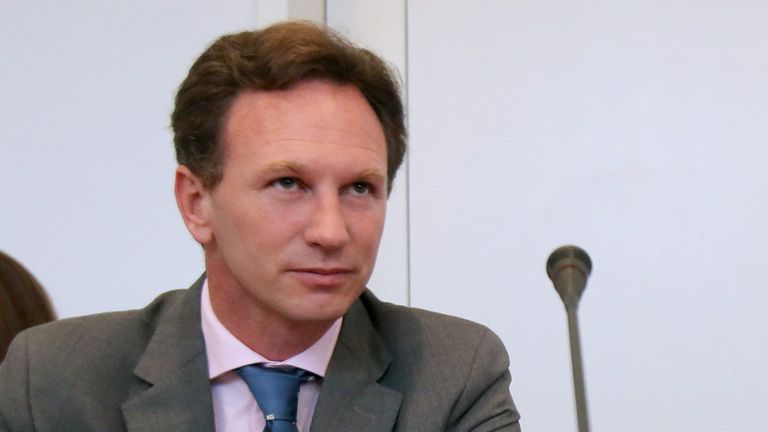 Red Bull boss Christian Horner attended the Tribunal in person