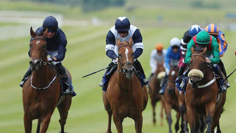 Tapestry (left): Added to Curragh line-up by O&#39;Brien