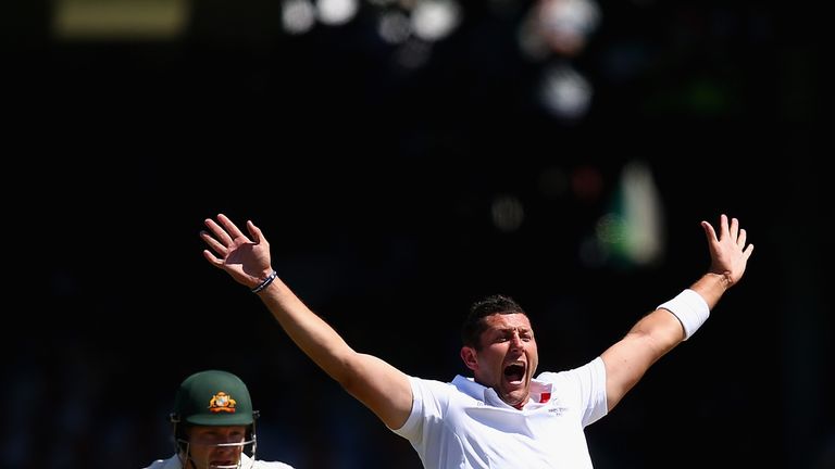 Tim Bresnan of England celebrates after taking the wicket of Australia opener Shane Watson during the second day of the second Ashes Test at Lords