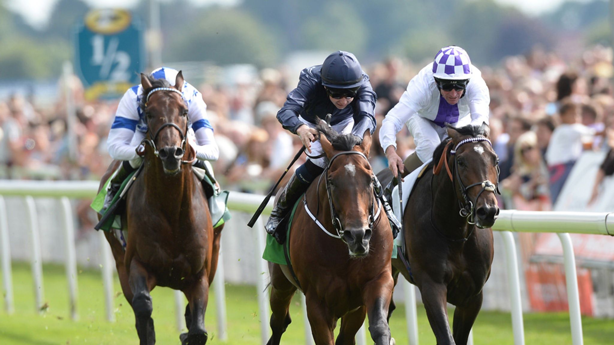 Al Kazeem will not race on fast ground again | Racing News | Sky Sports