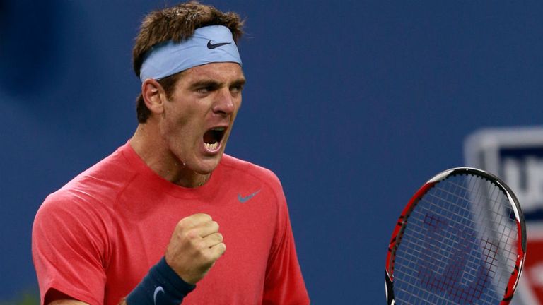 Juan Martin Del Potro celebrates his win over Guillermo Garcia-Lopez at the US Open