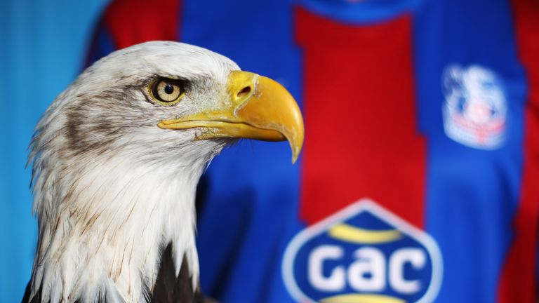 A picture of the Crystal Palace Eagle as the South Londoners welcome Sunderland to Selhurst Park in the late kick-off
