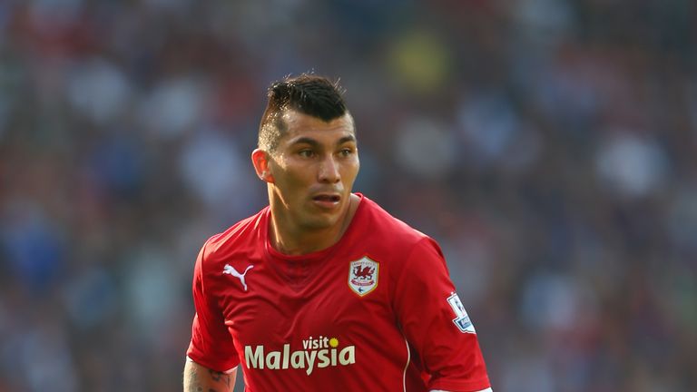 Gary Medel of Cardiff City during the Barclays Premier League match between Cardiff City and Manchester City at Cardiff City Stadium 