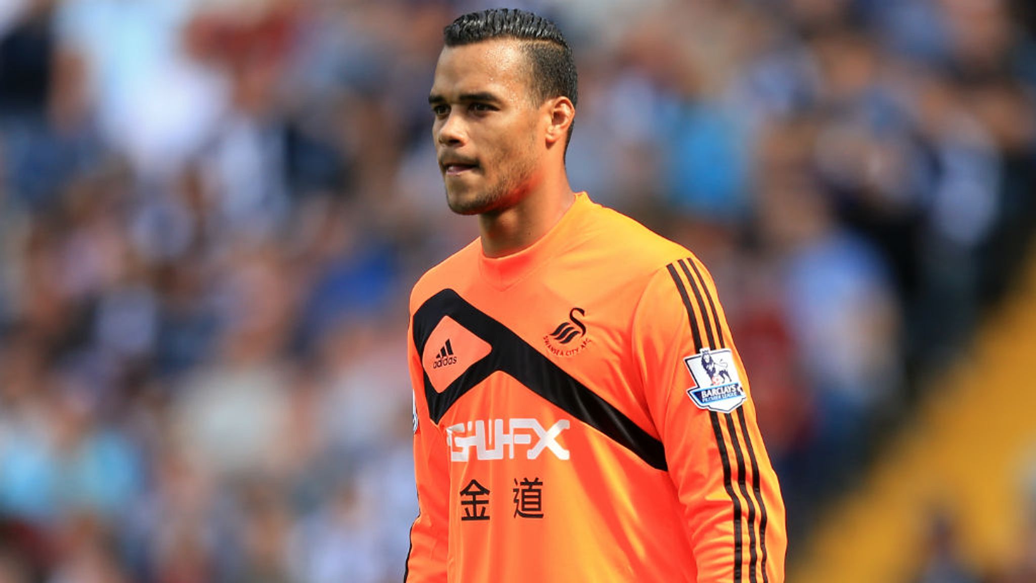 Premier League: Swansea boss may bring in cover for goalkeeper Michel Vorm | Football News | Sky ...