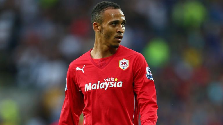 Peter Odemwingie of Cardiff CIty