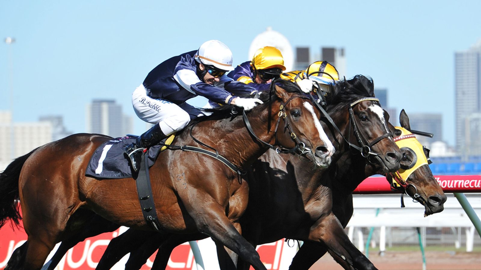 John Oxx-trained Sea Moon could make an amazing return to racing ...