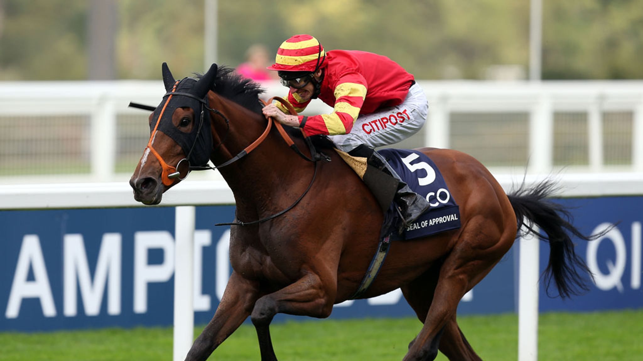 james-fanshawe-looks-forward-to-2014-with-ascot-winner-racing-news