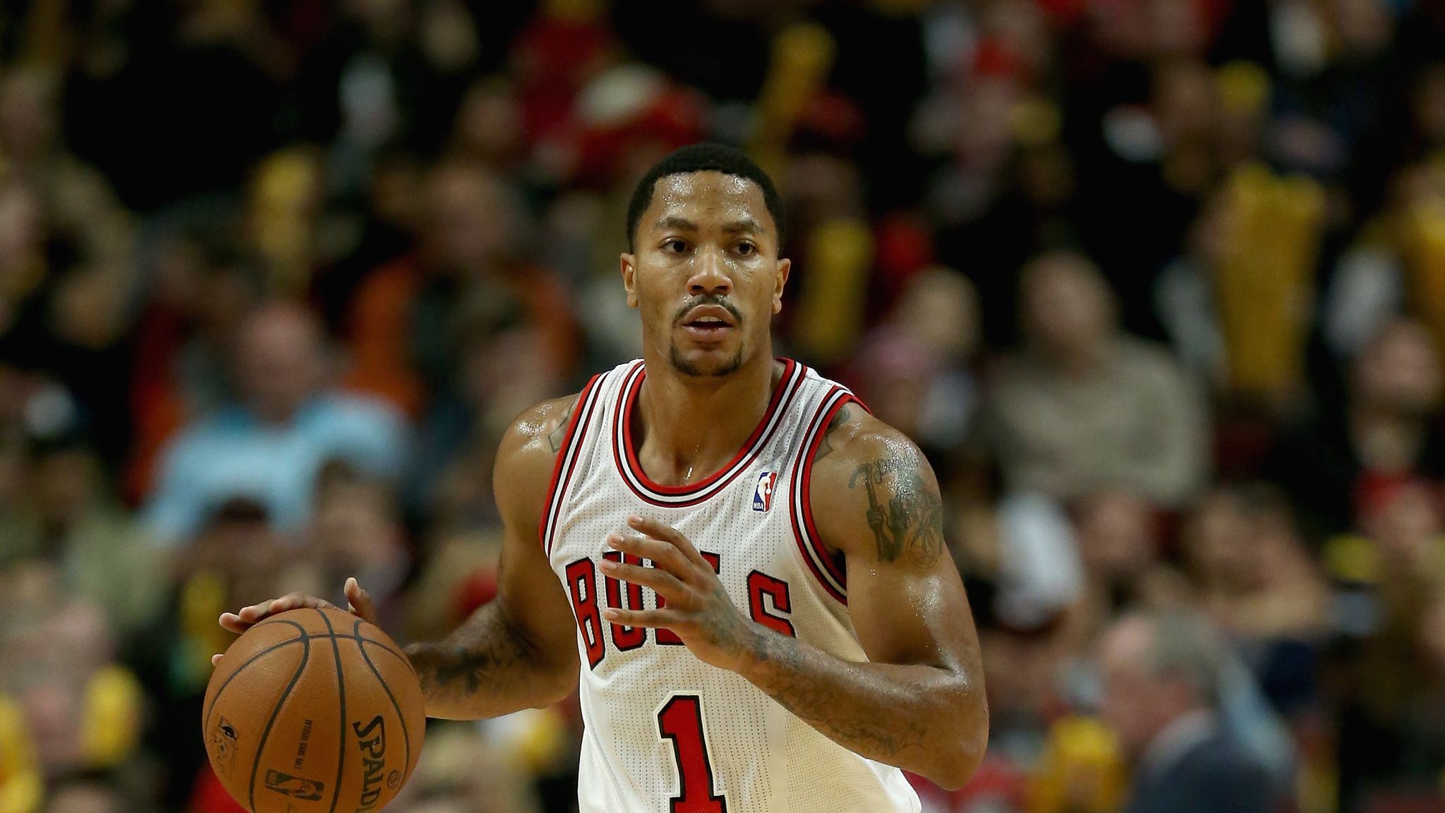 Chicago Bulls' Rose Out For Season With Knee Injury