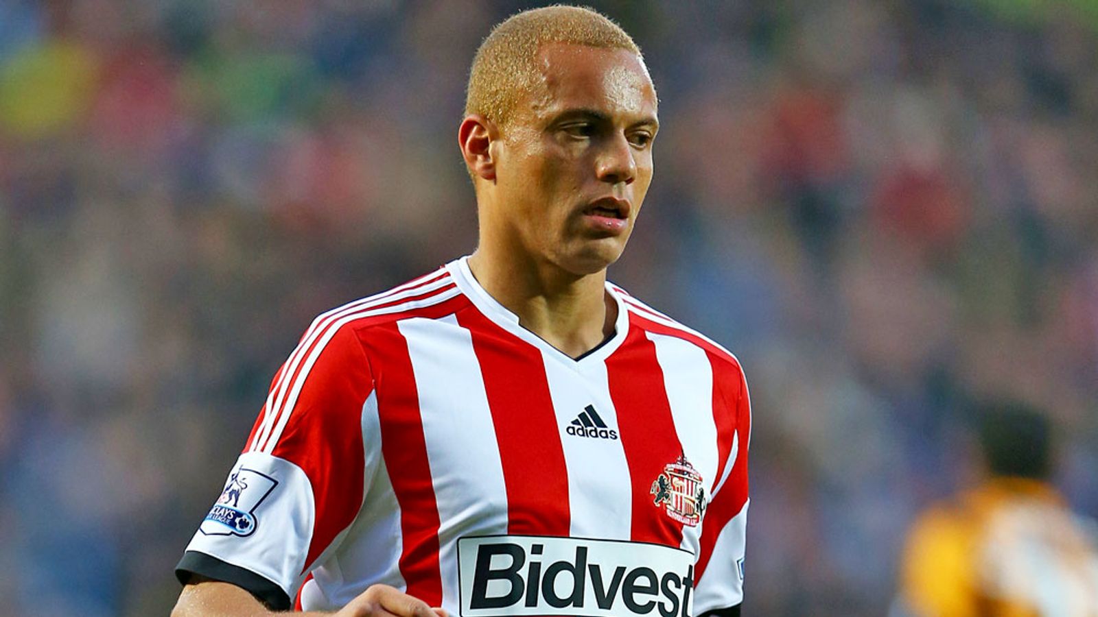 Premier League: Wes Brown admits errors are costing Sunderland