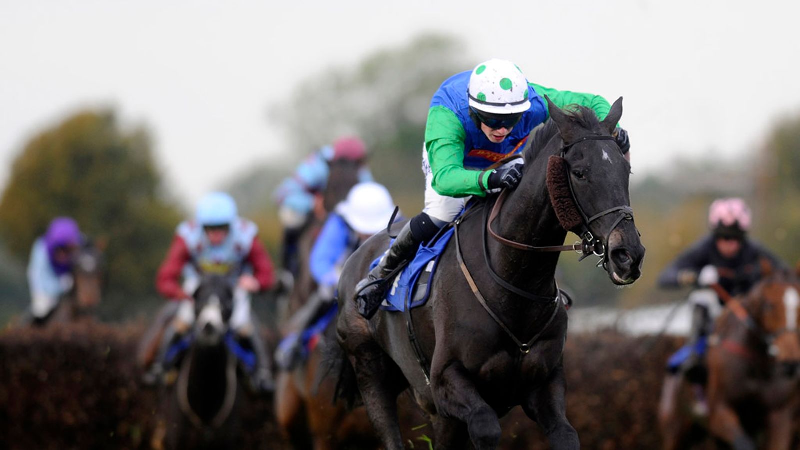 Officials at Wincanton have called a precautionary inspection | Racing ...