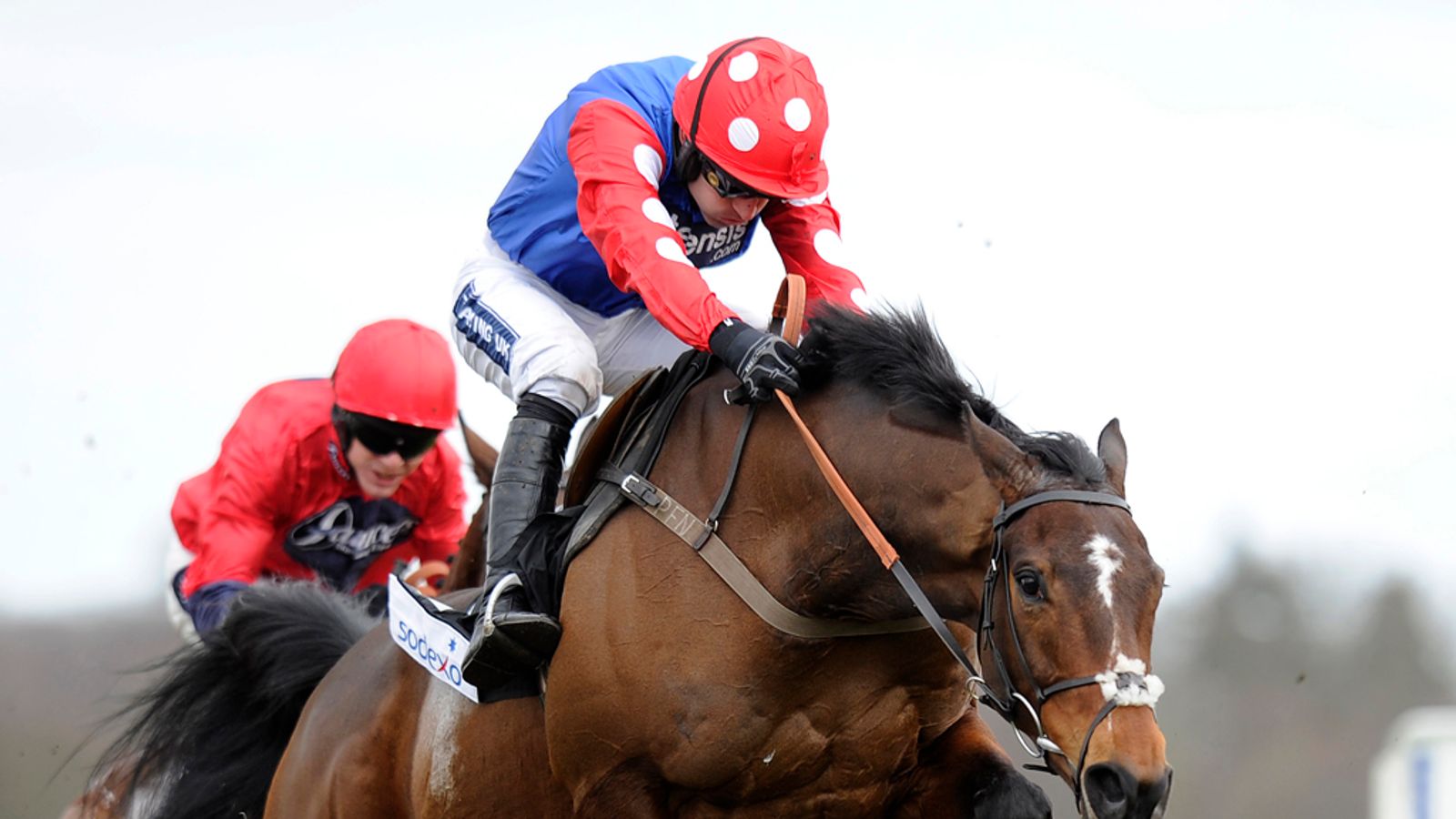 Ed Chamberlin guide Racing News Sky Sports