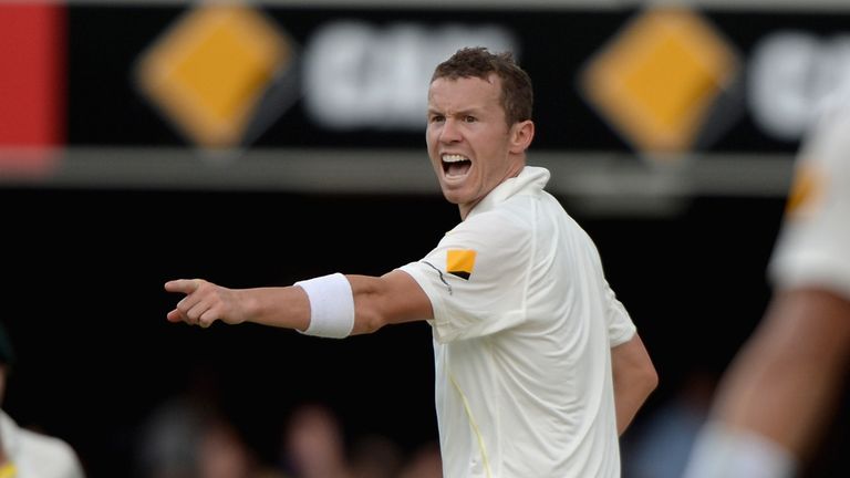Peter Siddle of Australia successfully appeals for the wicket of Ian Bell of England during day four of the First Ashes Test match between Australia and England at The Gabba on November 24, 2013 in Brisbane, Australia. 