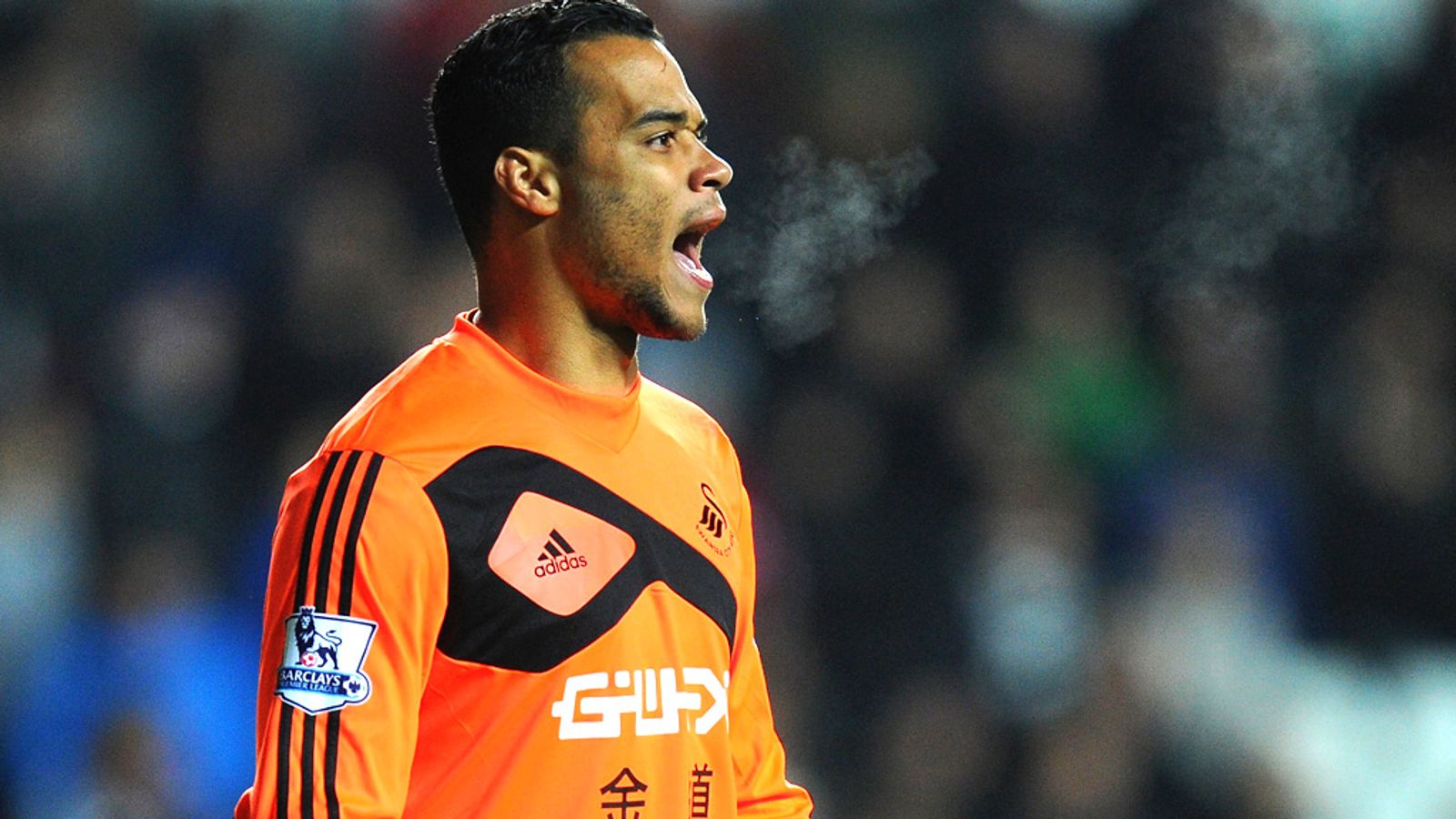 Premier League: Swansea goalkeeper Michel Vorm expects to ...