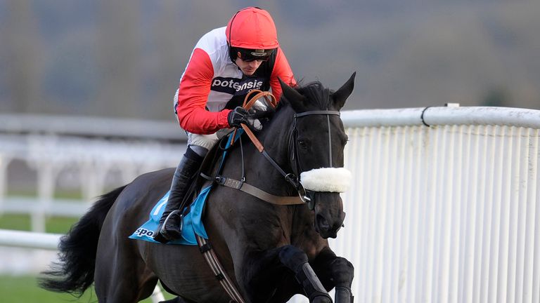 Big Buck&#39;s: D-day drawing nearer for the superstar hurdler