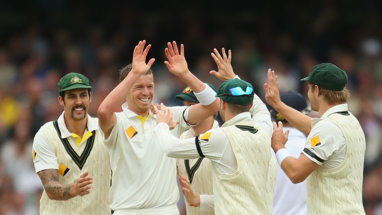 Peter Siddle (hands in the air) is congratulated by Australia team-mates on day five of second Ashes Test in Adelaide. Dec 9 2013.
