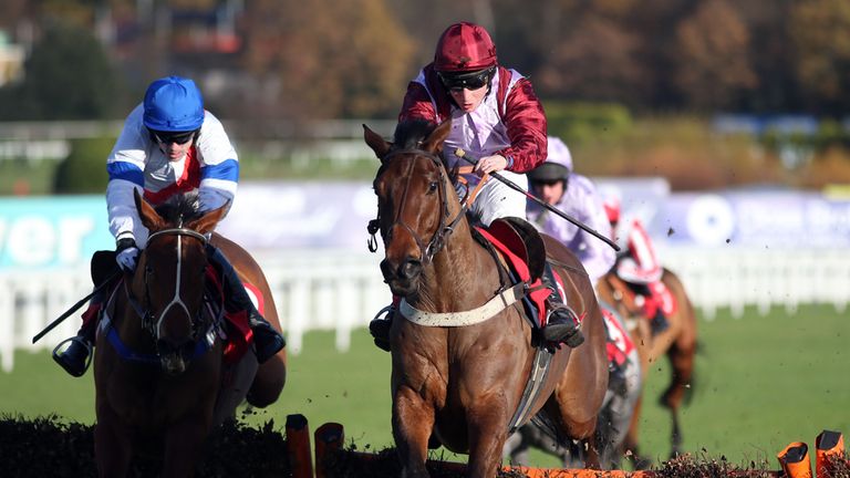 Violet Dancer leads Sleepy Haven (left) over the last flight