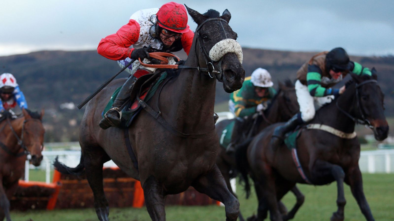 Paul Nicholls will step up the work regime of Big Buck's | Racing News ...