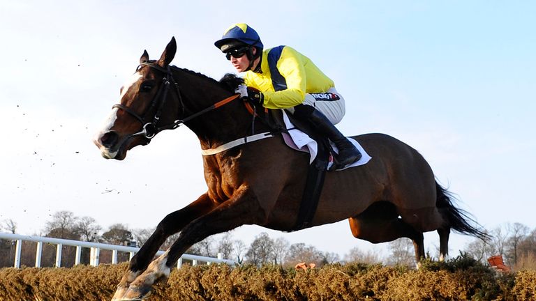 Our Conor: In top nick ahead of the Cheltenham Festival