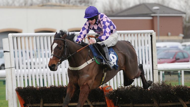 Pearl Castle: Set to go on trial for Cheltenham in the next fortnight