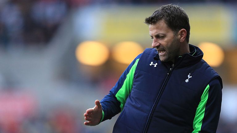 Tim Sherwood: Determined to steer Tottenham to a top-four finish