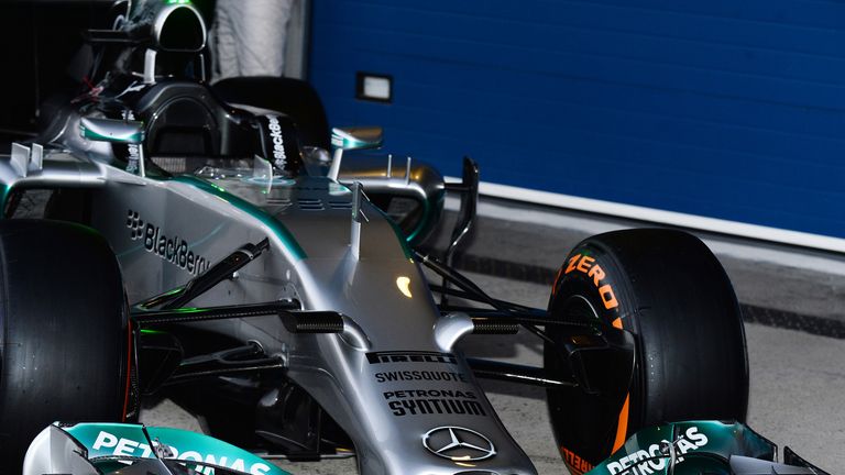 Nose detail on the W05