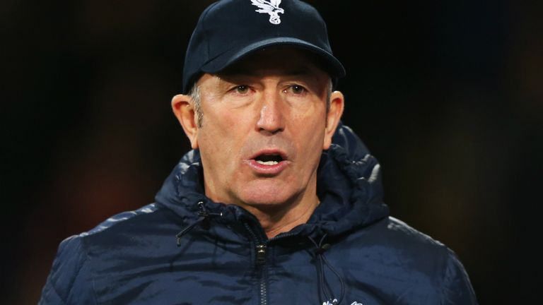 Tony Pulis: Delighted with the support Crystal Palace receive at Selhurst Park 