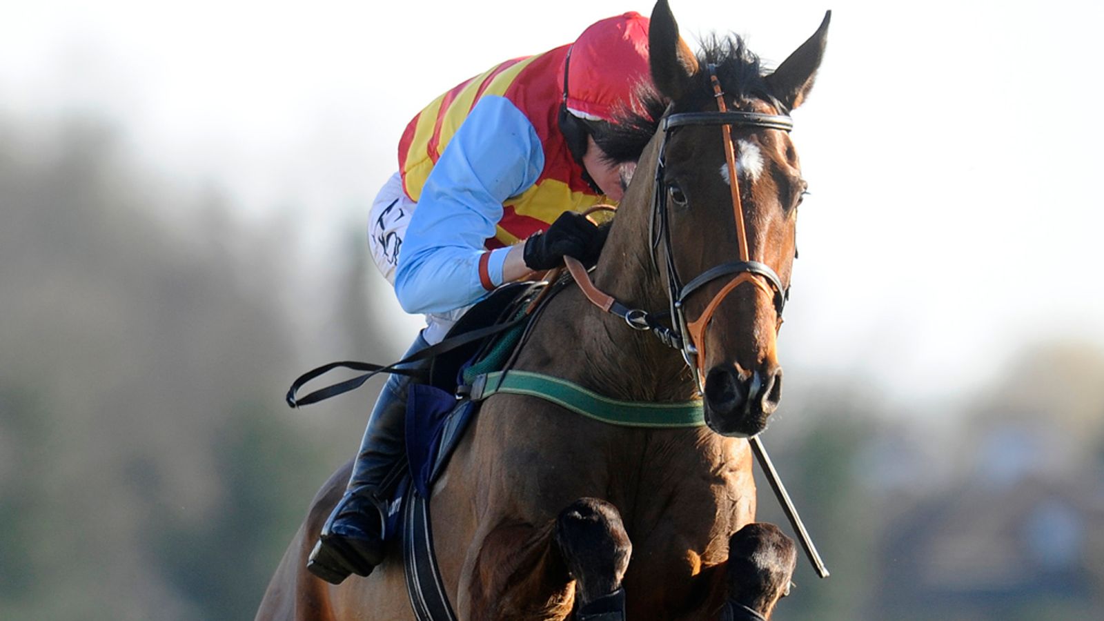 Hunt Ball back in business Racing News Sky Sports