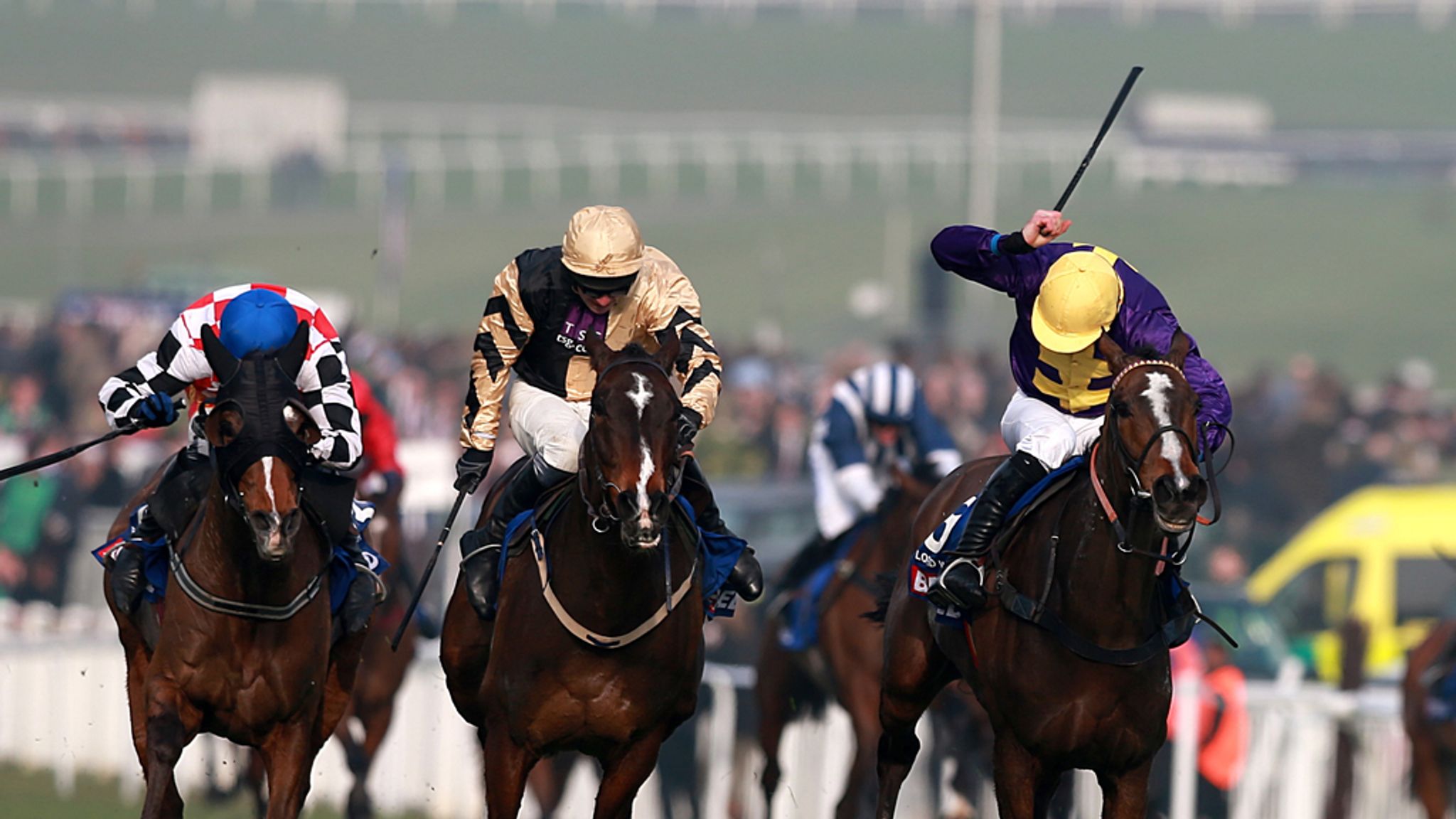 Gold Cup third The Giant Bolster finished for season | Racing News ...