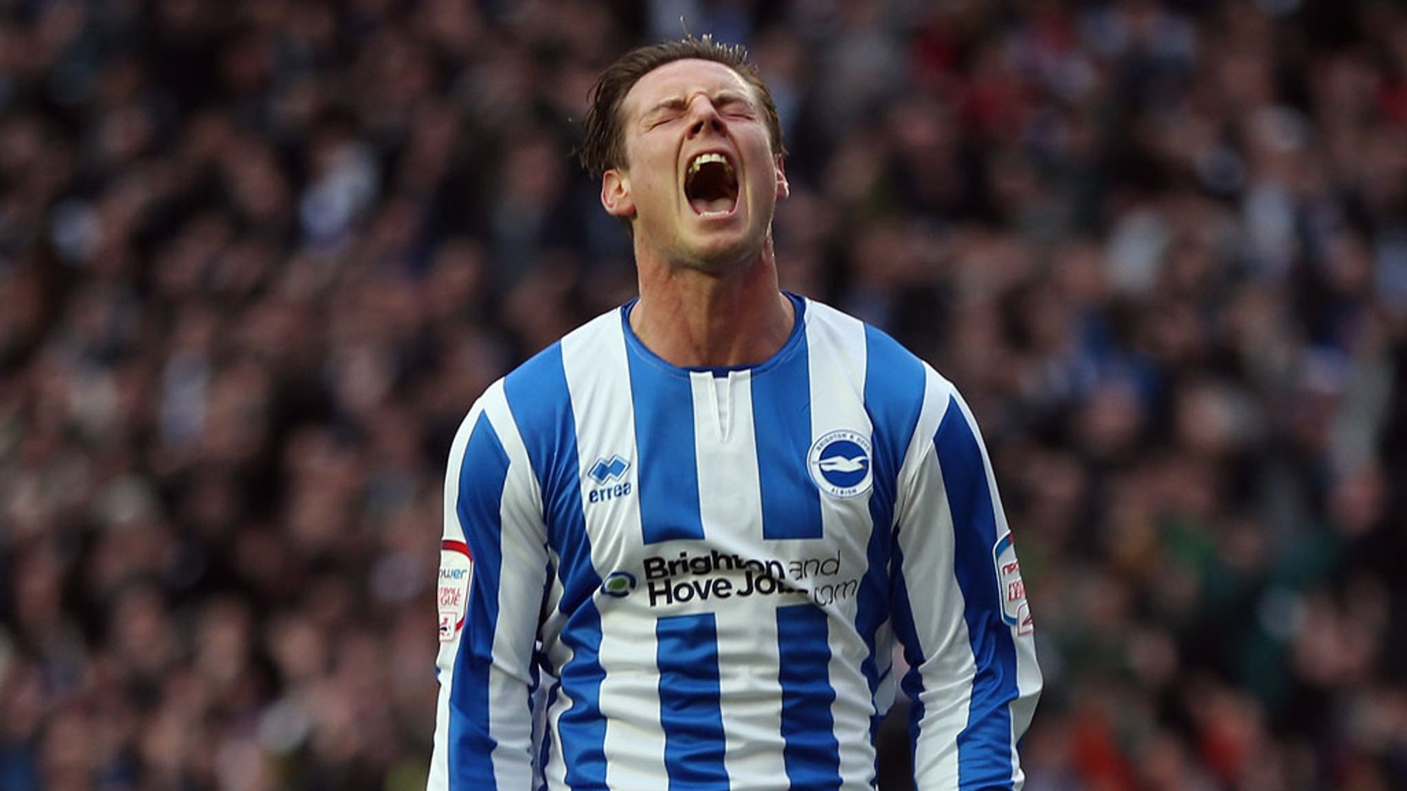 Championship: Brighton striker Will Hoskins declares himself fit | Football News | Sky Sports