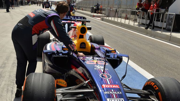 Sebastian Vettel only made it to the end of the pitlane before stopping