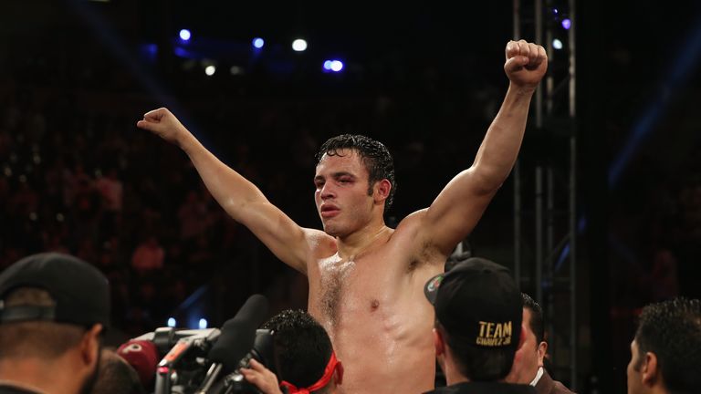 Julio Cesar Chavez Jr. celebrates his victory over Brian Vera in September 2013 