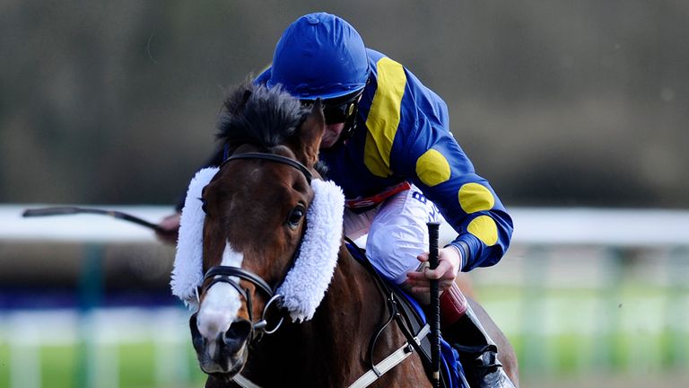 Martin Dwyer riding Stepper Point win The bookmakers.co.uk Hever Sprint Stakes at Lingfield 