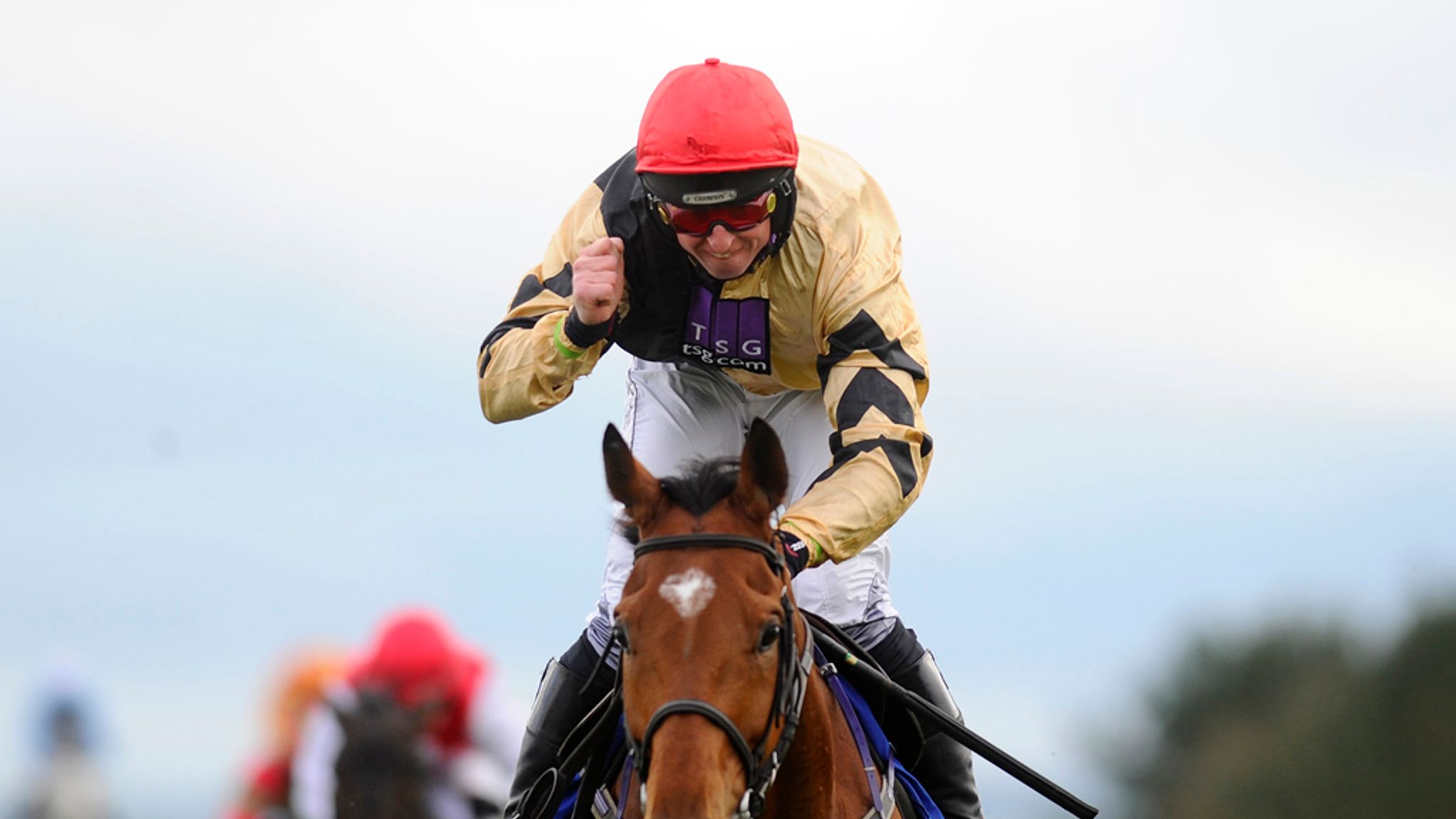 Willie Mullins Appears To Hold Most Of The Aces In The Navan Novice Hurdle On Sunday Racing