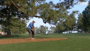 Eisenhower Tree removed