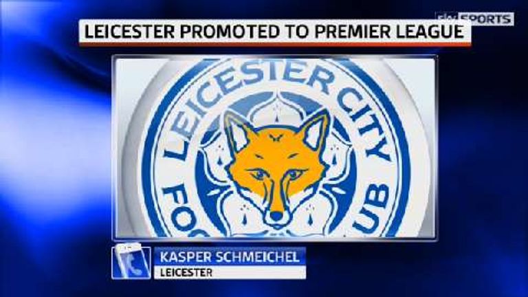 Leicester promoted to Premier League