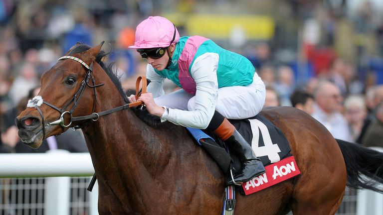 Kingman: Will have a spin in Newmarket this weekend as part of Guineas preparations