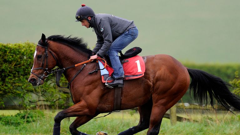 Toronado works up the gallop during a visit to Richard Hannon's Herridge Racing Stables