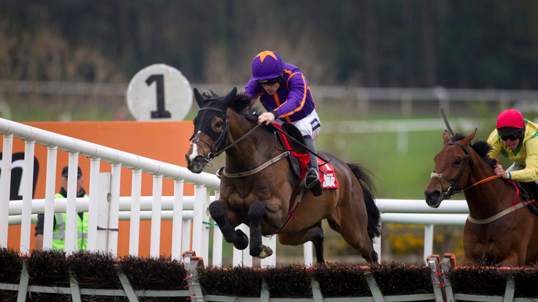 Zaidpour world hurdle betting mapping ethereum