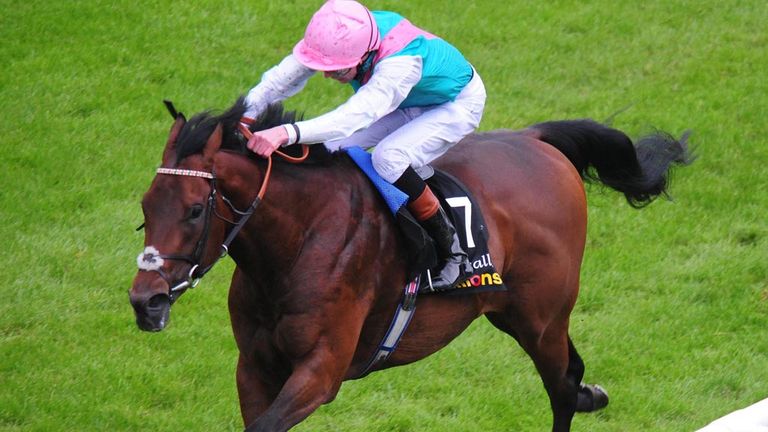 Kingman: Intended runner in the Sussex Stakes