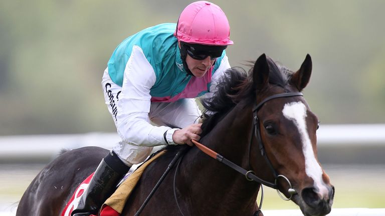 Snow Sky is preferred to Romsdal and Brown Panther in the Yorkshire Cup