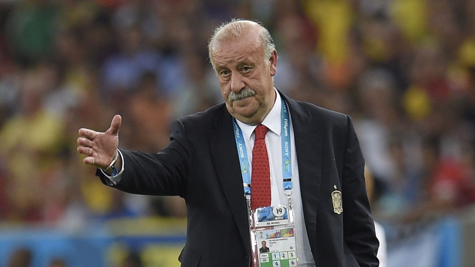 World Cup 2014: Vicente del Bosque future uncertain, says Guillem ...