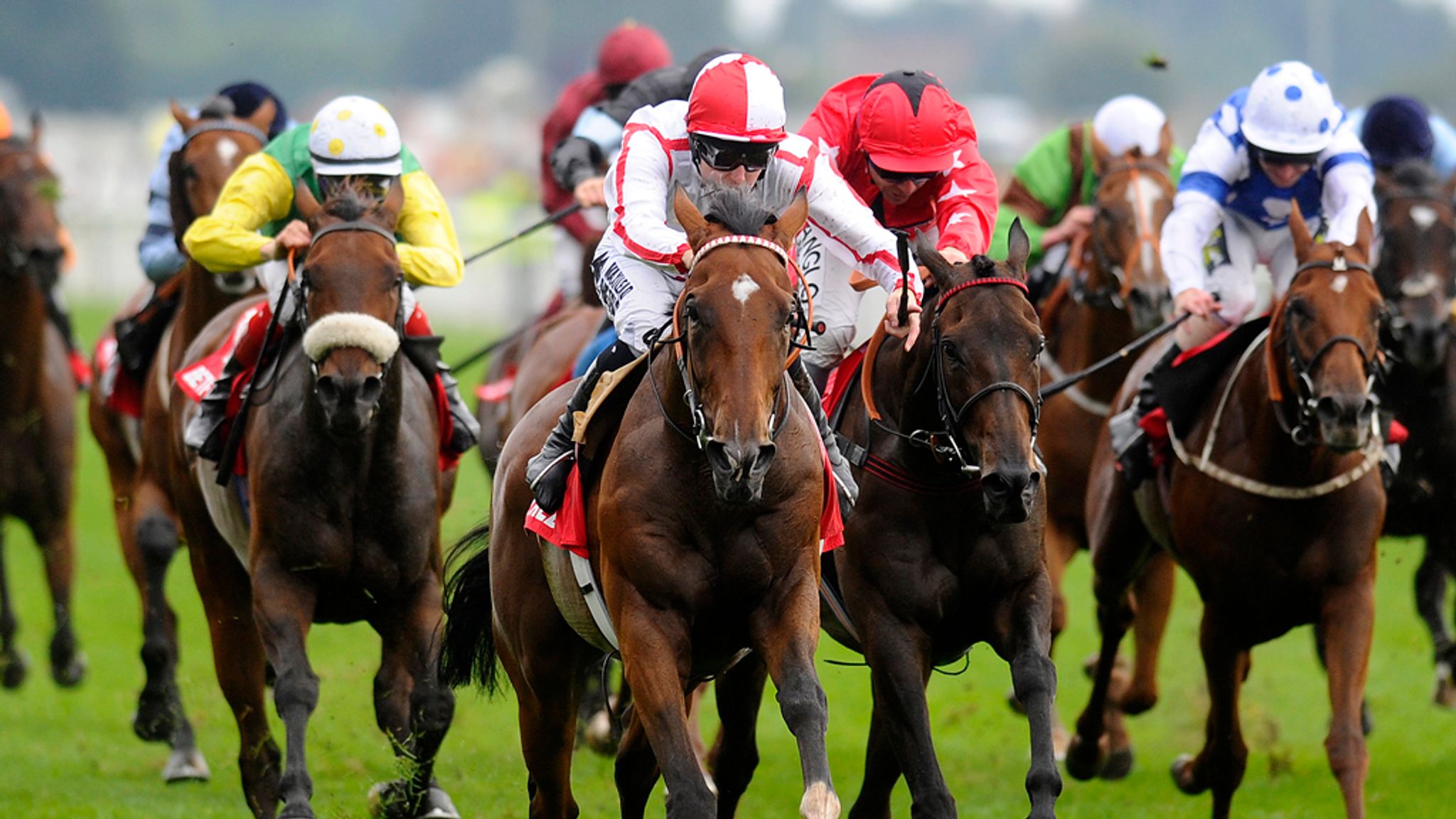 Alan King pays tribute to Tiger Cliff | Racing News | Sky Sports