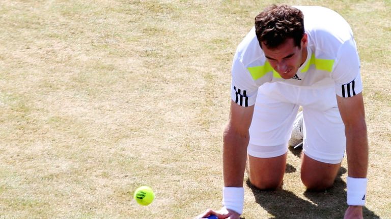 - Andy Murray of Great Britain reacts in his match against Radek Stepanek of the Czech Republic during their Mens Singles on day four of the Aegon Championships