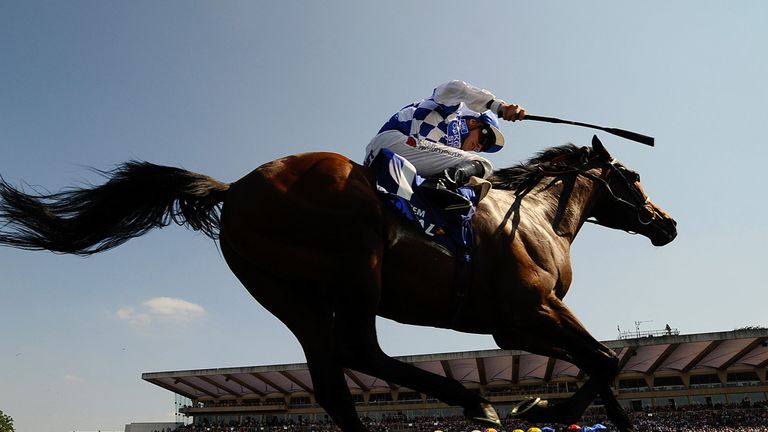 Al Kazeem: Likely to reappear this weekend