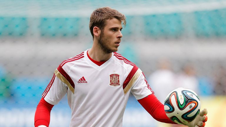 David de Gea: Injury concern for Spain
