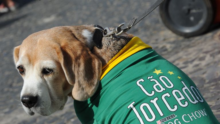 Depressed dog can't believe his owner has dressed him in green. So last season. 