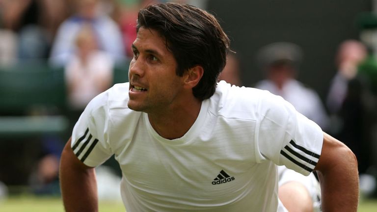Fernando Verdasco of Spain reacts as he lies on the grass during the Gentlemen's Singles quarter-final match against Andy Murray