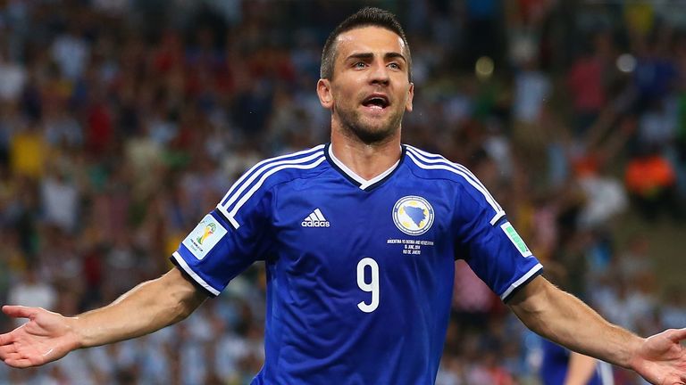 Vedad Ibisevic of Bosnia and Herzegovina celebrates scoring his team's first goal during the 2014 FIFA World Cup Brazil 