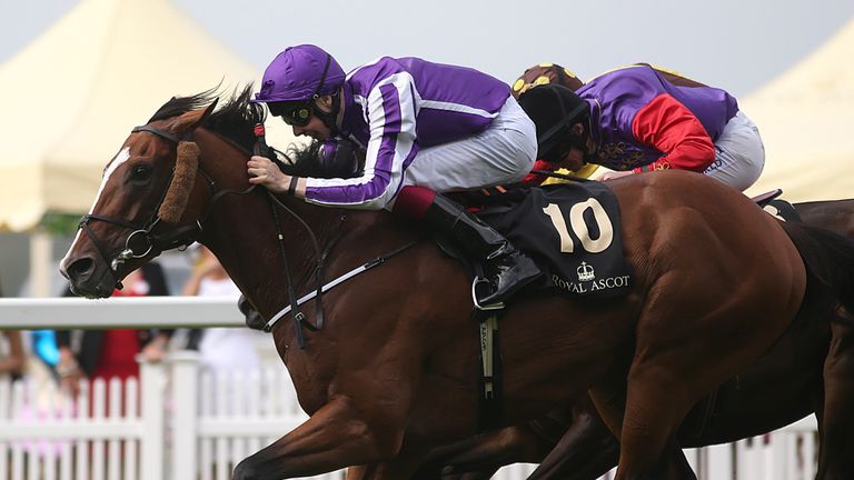 Leading Light edges out Estimate to win a thrilling Gold Cup