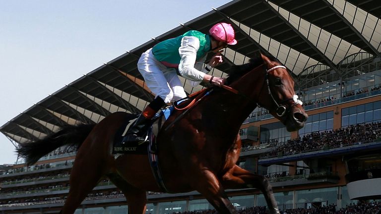 Kingman ridden by James Doyle on their way to victory in The St James's Palace Stakes during Day One of the 2014 Royal Ascot Meeting at Ascot Racecourse, B
